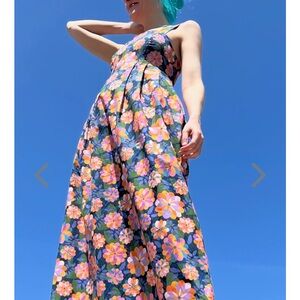 Birds of North America Fox Sparrow Maxi Dress